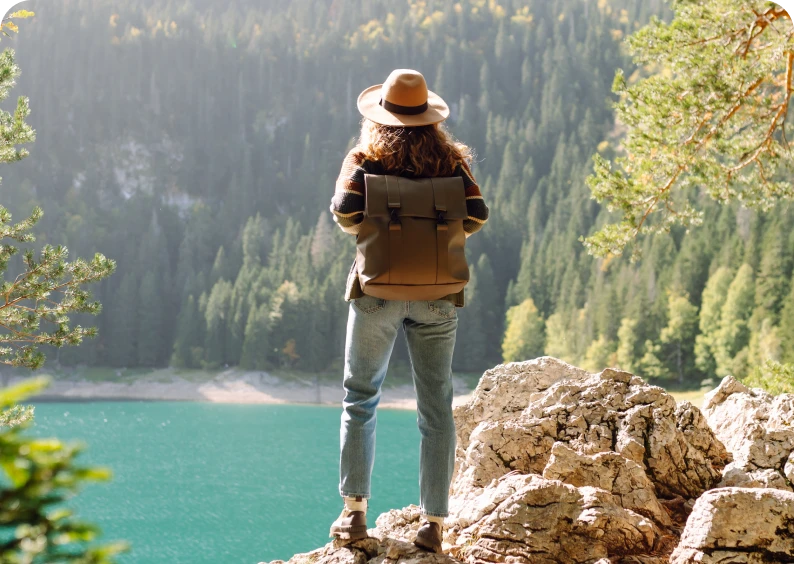 Person overlooking lake and forest scenery.